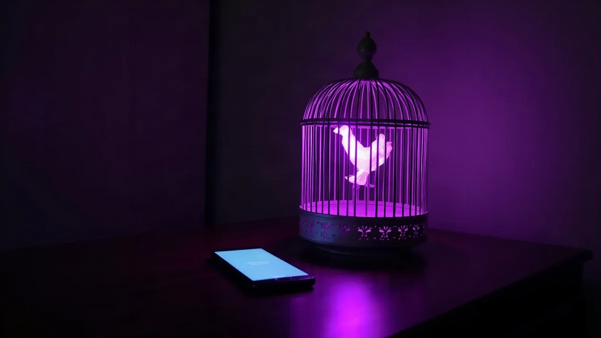 Cage à oiseaux ouverte d’où s’échappe une lumière violette, à côté d’un smartphone (illustration de l’article)